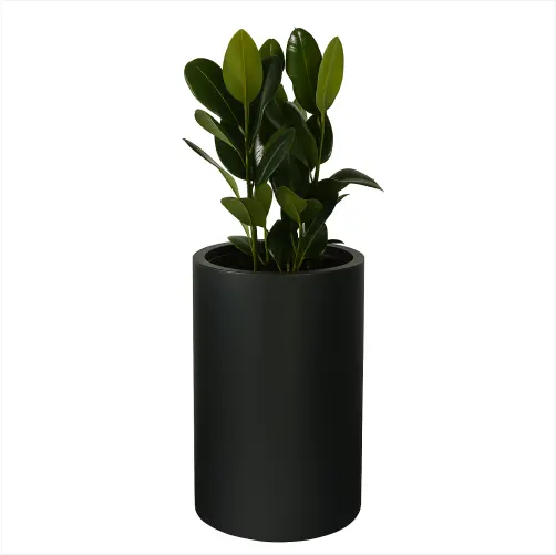 Maceta Short Rounded decorativa