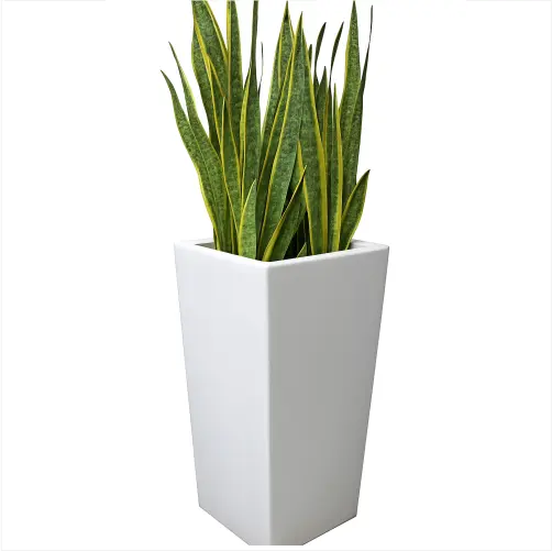 Maceta High Cubo de fibra de vidrio