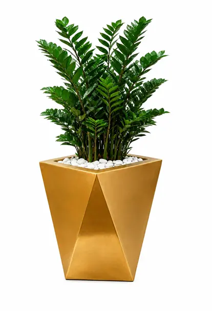 Gold Pot Deluxe de Innovarte