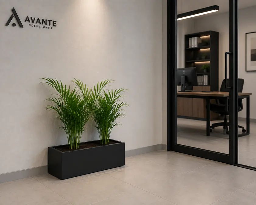 Large Planter jardinera decorativa Innovarte